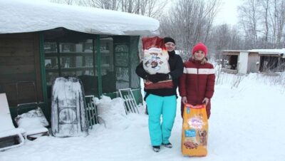 В Мурманской области активисты «Единой России» оказали помощь приютам для животных