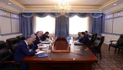 Meeting of the Minister of Foreign Affairs of the Republic of Tajikistan with the United Nations Under-Secretary-General